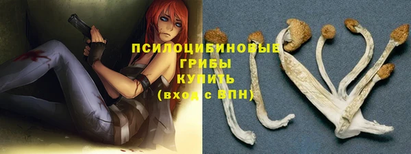 не бодяженный Алексин