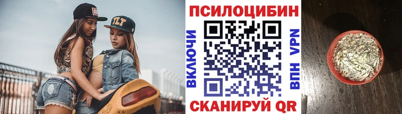 Галлюциногенные грибы Psilocybe OMG маркетплейс Заринск